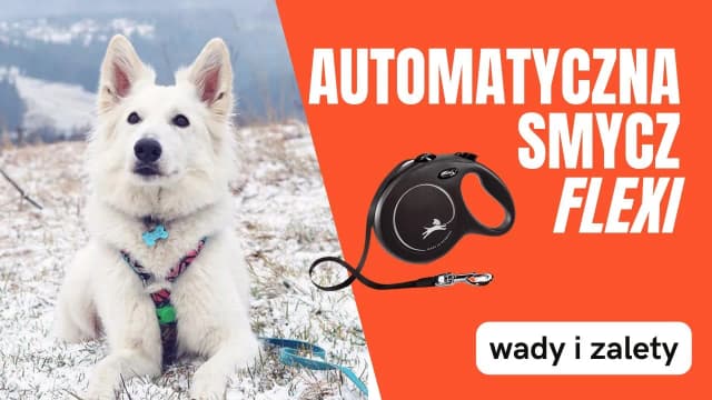 Jak naprawić automatyczną smycz – proste kroki i porady, by uniknąć kosztownych błędów Jak naprawić automatyczną smycz – proste kroki i porady, by uniknąć kosztownych błędów